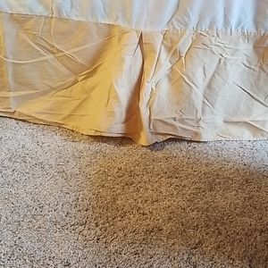 King Light gold dust ruffle Z